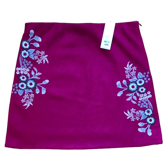 Embroidered Suede Mini Skirt - Picture 1 of 4